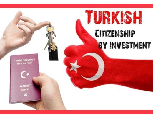 سرمایه گذاری و شروع زندگی در ترکیه