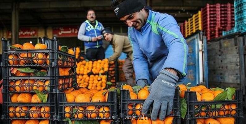 قیمت پرتقال در یزد تابع نرخ گذاری روزانه اتحادیه است