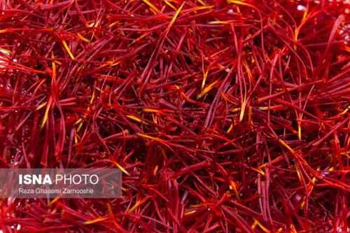 صادرات زعفران به چه قیمتی؟