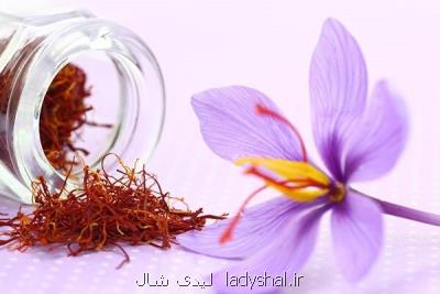صادرات ۱۹۰ میلیون دلاری زعفران در سال ۹۹