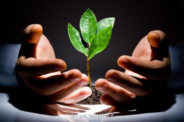 دوشنبه های استارت آپی صندوق نوآوری به استانها رسید