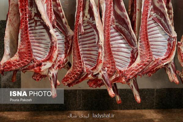 توقف صادرات گوشت گاو برزیل به چین