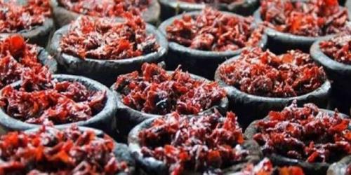 تولید تنباکو 3 و نیم برابر شد