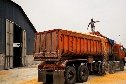حذف ارز ۴۲۰۰ منجر به رشد اقتصادی می شود