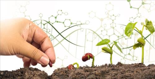 تولید کیت تشخیص آلاینده ها در پژوهشگاه بیوتکنولوژی کشاورزی