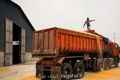 حذف ارز ۴۲۰۰ منجر به رشد اقتصادی می شود