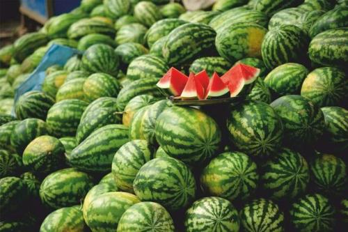 صادرات هندوانه ایران به عمان ممنوع گردید