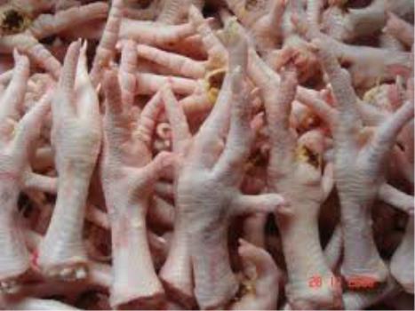 صادرات ۲۸ هزار کیلوگرم پای مرغ از لرستان به ویتنام