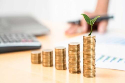 سازمان توسعه و سرمایه گذاری برای پشتیبانی از دانش بنیان ها در دانشگاه ها ایجاد می شود