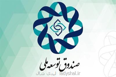 تسهیلات ریالی صندوق توسعه به ۲۰۰ هزار میلیاردریال می رسد