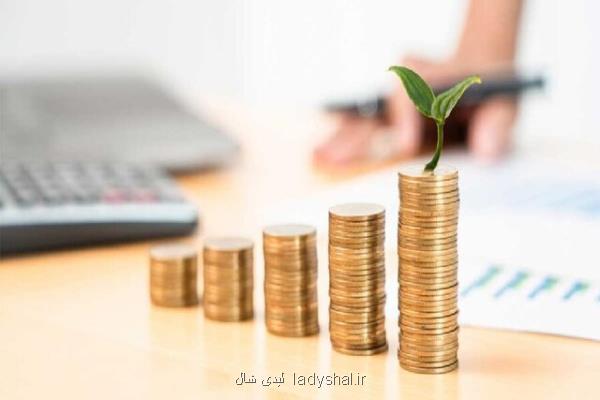 سازمان توسعه و سرمایه گذاری برای پشتیبانی از دانش بنیان ها در دانشگاه ها ایجاد می شود