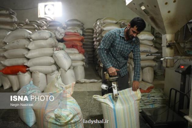 شایعه ای برای سودجویی