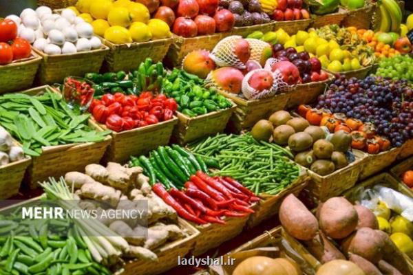 ترخیص محصولات تراریخته منوط به اعلام نظر جهاد کشاورزی شد