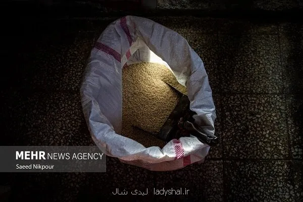 رشد دو برابری واردات برنج برنج هندی در صدر برنج های خارجی