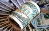 نقش برخی رسانه ها درنوسانات بازار ارز، FATFتاثیری بر نرخ دلارندارد