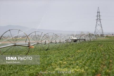بزرگترین تولیدكنندگان مواد غذایی جهان كدامند؟