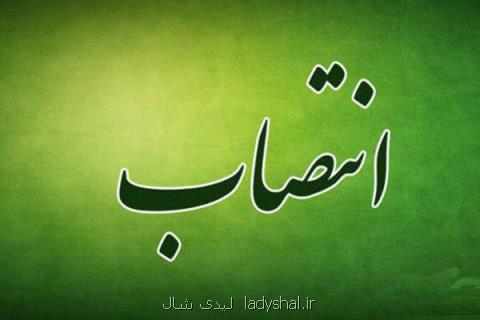 رئیس مركز فناوری اطلاعات و توسعه اقتصاد هوشمند انتخاب شد