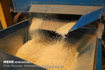 ممنوعیت واردات فصلی برنج لغو شد