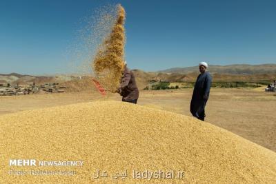 نرخ خرید تضمینی گندم رسما ۲۲۰۰ تومان شد، قیمت خرید محصولات زراعی