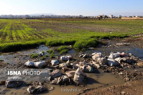 این دفعه بالاجبار سرطان می كارند!