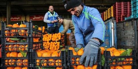 قیمت پرتقال در یزد تابع نرخ گذاری روزانه اتحادیه است