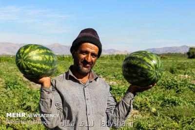 برگشت ۶ واگن هندوانه صادراتی ایران از تركیه