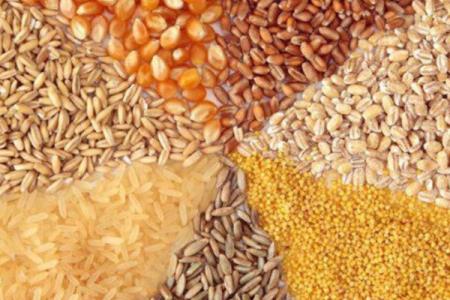 از ماه آینده مشكلی در توزیع نهاده های دامی نخواهیم داشت