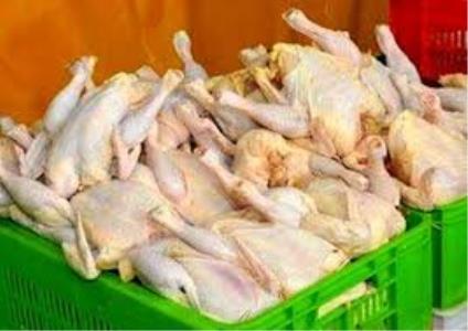 خروج مرغ از استان مركزی بدون مجوز دامپزشكی ممنوع