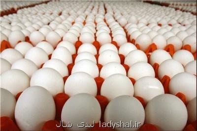 تمدید عوارض ۳۵۰۰ تومانی برای صادرات تخم مرغ