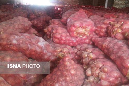 اعظمی خواهان خرید تضمینی پیاز كشاورزان جنوب كرمان شد